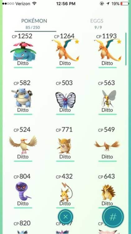 pokemon-go-ditto