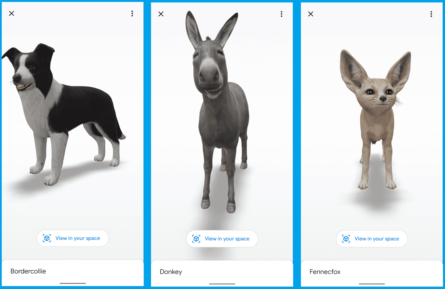 Google AR : découvrez les animaux et les objets 3D dans votre maison