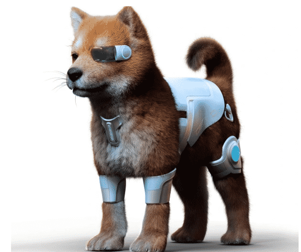 Digital Pets Company va créer des chiens numériques dans le métavers