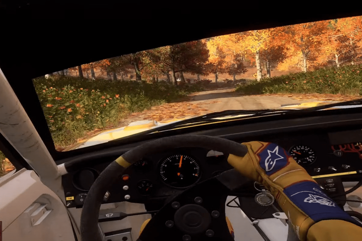 Test Dirt Rally 2.0